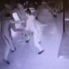 В Сети появилась видеозапись массовой драки в кафе «Сайгон» в Казани