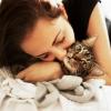 Поцелуи с кошками опасны для здоровья