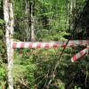 В лесу в Татарстане жительница Альметьевского района застыла от ужаса