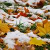 Дождь и мокрый снег прогнозируют синоптики в Татарстане
