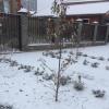 В Казани выпал первый снег (ФОТО казанцев)