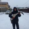 В Казани спасатели вызволили из ледового плена трёх диких лебедей (ФОТО)