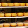 Сыр в магазинах Казани подорожал на 9%