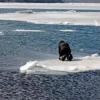 10 рыбаков на льдине оказались отрезаны от земли в Челнах: связь с ними потеряна