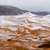 В пустыне Сахара впервые за 37 лет выпал снег