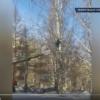 В Татарстане спасатели сняли с дерева замерзающего ребенка (ВИДЕО)