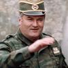 Младич, сербская война, война на балканах, гаагский трибунал