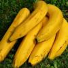 Бананы в магазинах Казани подорожали на 12%