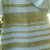 Феномен сине-золотого «платья раздора» разгадан полностью (ФОТО)