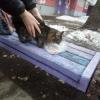 В Татарстане альпинист спас кошку (ФОТО)