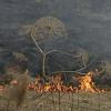 В Татарстане горят поля из-за выжигания сухой травы