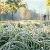 В Татарстане ожидаются заморозки