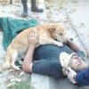Трогательно до слез: собака обнимала хозяина в ожидании скорой (ФОТО)