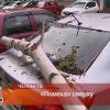 В Татарстане на припаркованные во дворе автомобили упало дерево (ВИДЕО)
