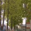 В Казани пропала ученица мусульманской школы (ВИДЕО)