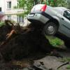 В СКР подтвердили гибель шести человек во время урагана в Москве