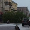 В центре Казани упавшее дерево перегородило улицу (ФОТО)