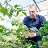 Виды на урожай в Татарстане: что сулит холодный май