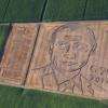 Путин в поле: изображение Президента России появилось на пшеничном поле