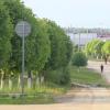 Почем трава у дома: в Татарстане появился «налог на газон»