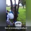 Учителя в Татарстане вышли мыть деревья к приезду чиновников (ВИДЕО)