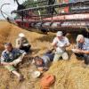 В Татарстане собрано более 3,5 млн тонн зерна