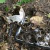Человеческие останки обнаружила жительница Татарстана (ФОТО)