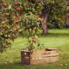 Жительница Татарстана встретила смерть в яблоневом саду