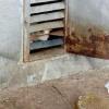 За решеткой в подвале челнинского дома погибают котята (ФОТО)