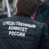 В Татарстане арестован предполагаемый насильник 8-летней девочки (ВИДЕО)