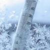 В Казани зафиксирована рекордно низкая температура за последнее десятилетие
