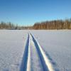 В Казани задержали мужчин, которые под видом лыжников делали «закладки» амфетамина на лыжне