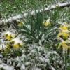 Синоптики Татарстана предупредили о резком похолодании и мокром снеге