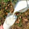 В Татарстане остановилось снижение закупочных цен на молоко&#8205;