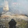 На пожаре в Зеленодольском районе удалось отстоять 9 домов 