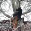 Татарстанец без страховки залез на дерево в пять этажей, чтобы спасти кота