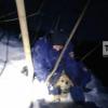 Казанские спасатели помогли бездомной собаке, попавшей в Нагорном в капкан (ФОТО)