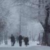 Сильное потепление в Казани сменится резким похолоданием