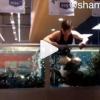 Ради хайпа челнинец залез в аквариум с рыбой в магазине (ФОТО)