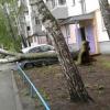 В Набережных Челнах затопило дороги, а ветер обрушил деревья на автомобили (ФОТО)
