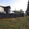 В Татарстане спасли от огня 60 телят и быков (ФОТО)