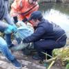 В Елабужском районе РТ в пруду в метре от берега нашли тело женщины (ФОТО)