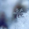 Синоптики дали прогноз на декабрь – в Казани будет аномально тепло