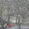 В гидрометцентре прогнозируют «махрово-красное» тепло в России: «Совершенно экстремальная ситуация»