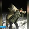В Башкирии жители застрелили огромного волка, который пришел к деревне