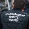 Воронежский подросток задержан за убийство девятилетней девочки