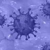 Описаны семь проявлений легкой формы коронавируса