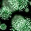 Обнаружена новая опасная мутация коронавируса