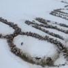 В Башкирии фермеры выстроили тысячу лошадей в надпись «8 Марта» (ВИДЕО)