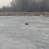 В Казани у моста Миллениум рыбак провалился под лёд